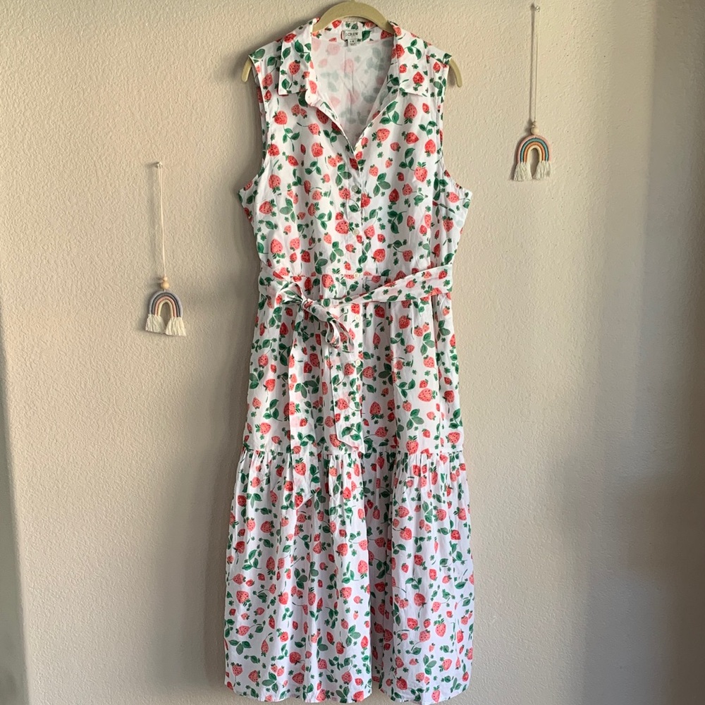 J.Crew Strawberry Button Down Shirt Maxi Midi Cotton Dress 14